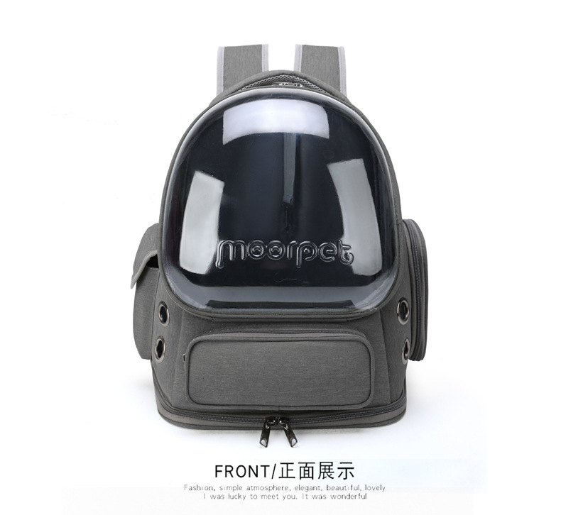 حقيبة ظهر القط