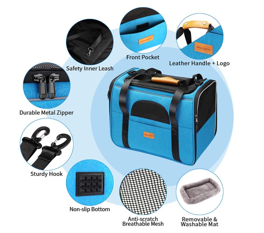 الحيوانات الأليفة تحمل حقيبة اللون الأزرق