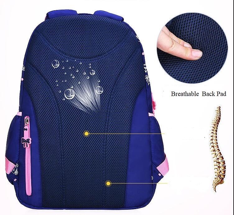 حقيبة الكتاب مع الإسفنج مرة أخرى