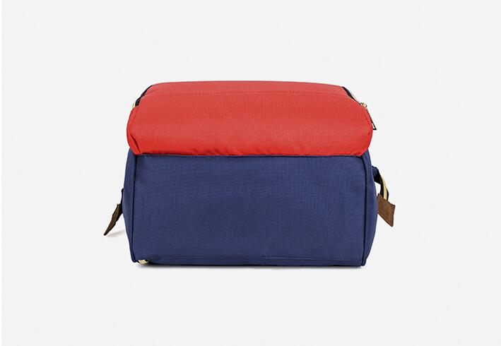 عرض ظهرت مومياء