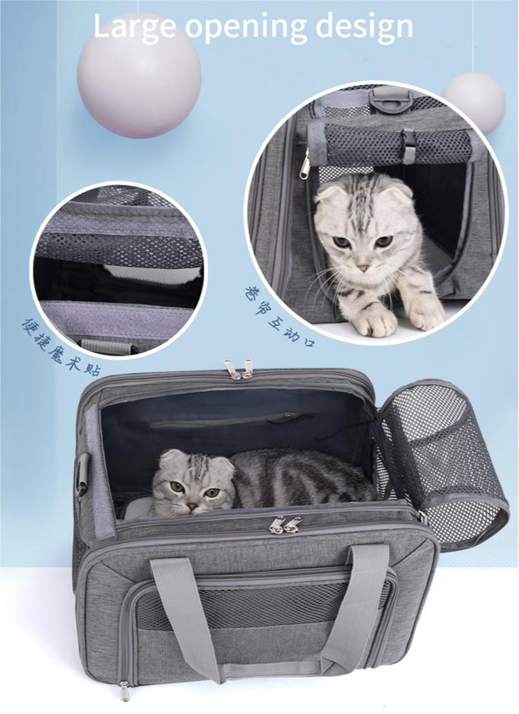 كيس الناقل القط