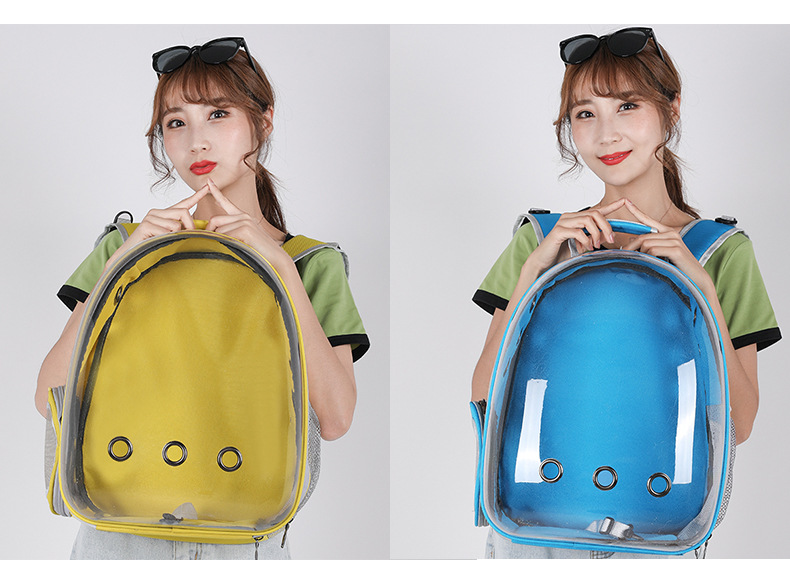 حقيبة ظهر الناقل القط