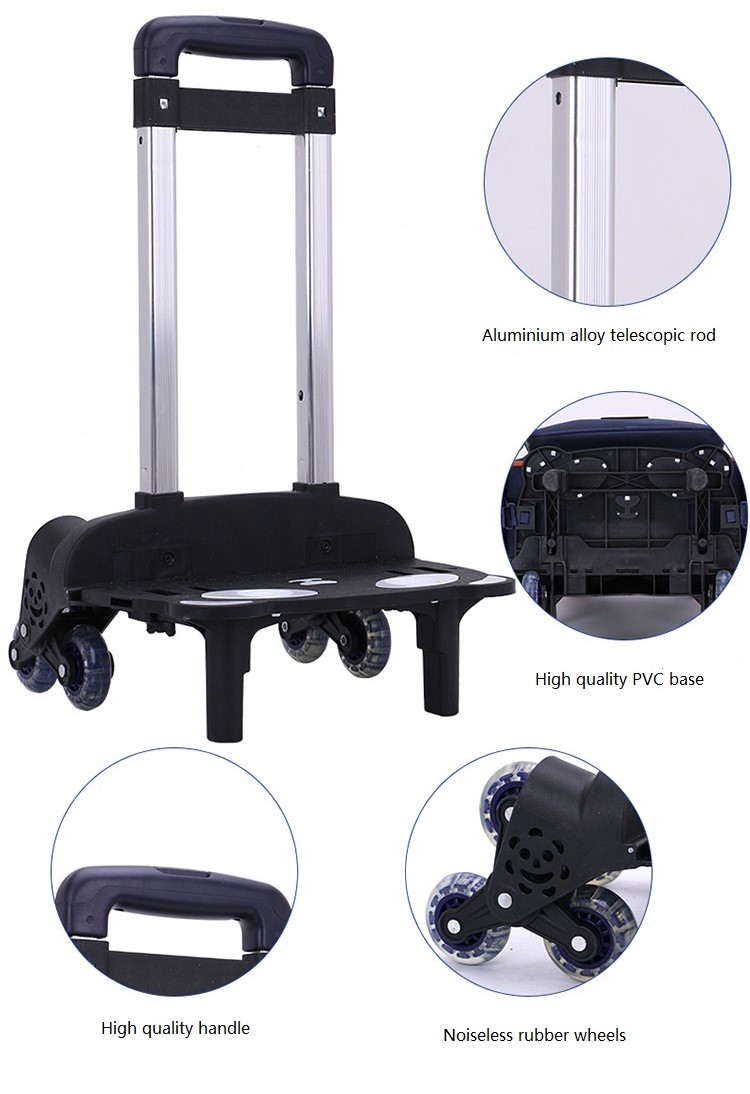 تفاصيل العوالق