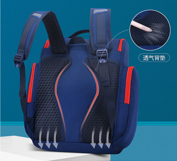 الجزء الخلفي من حقيبة الظهر