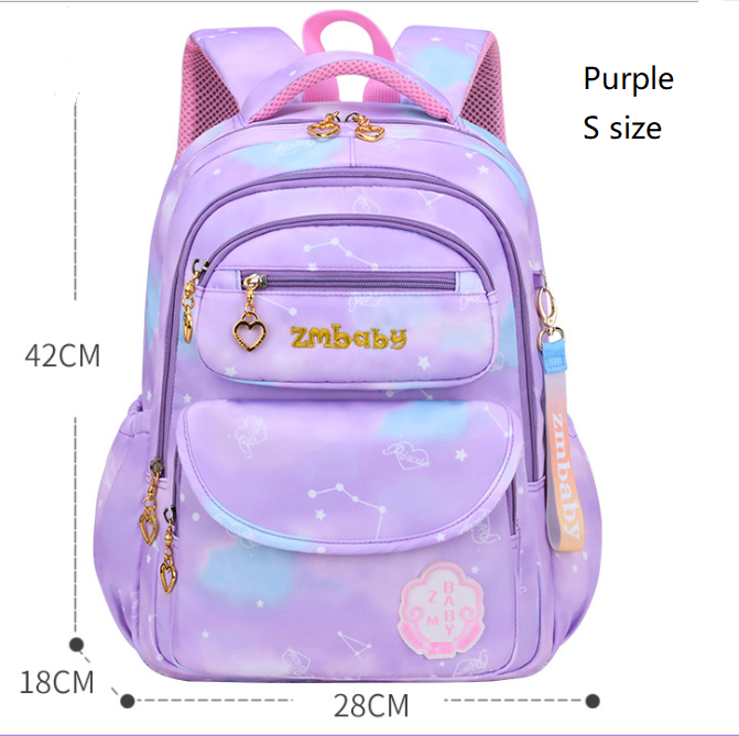 حقيبة المدرسة