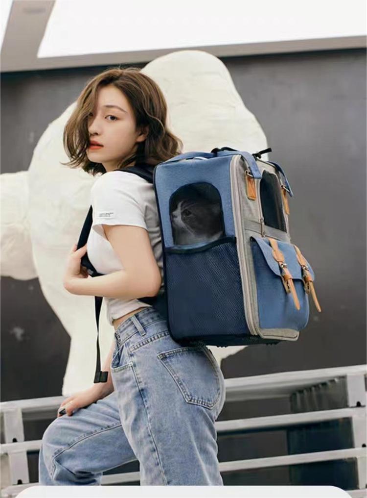 كيس الناقل القط