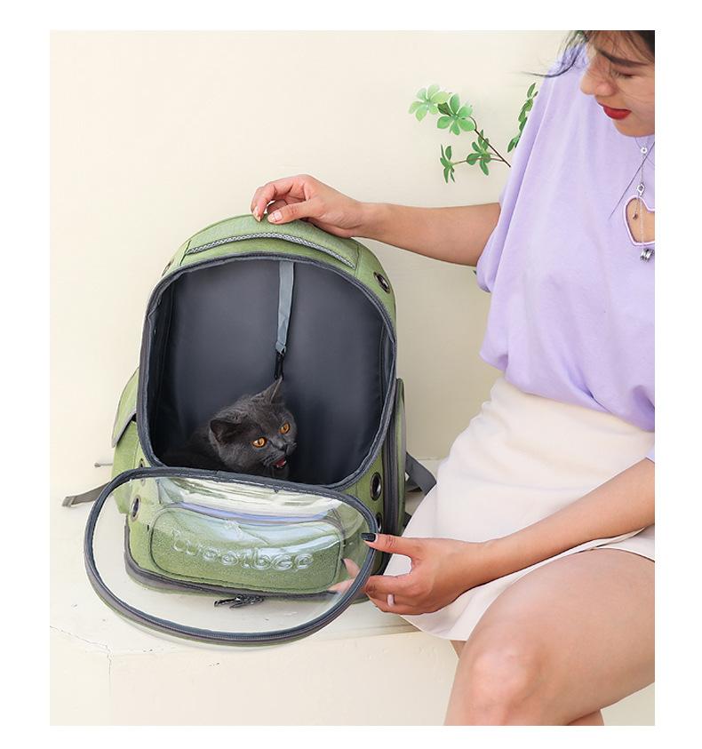 كيس الناقل القط