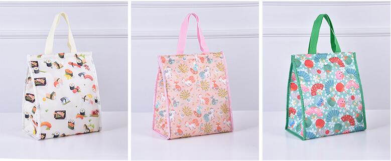 Color1 من حقيبة غداء البوليستر العزل