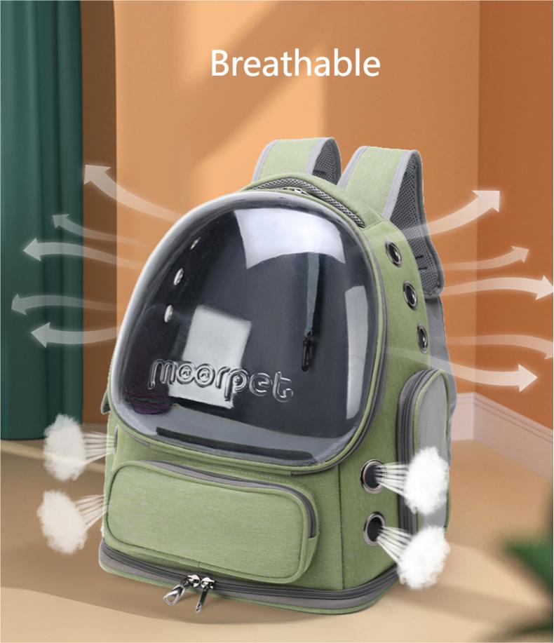 حقيبة ظهر القط