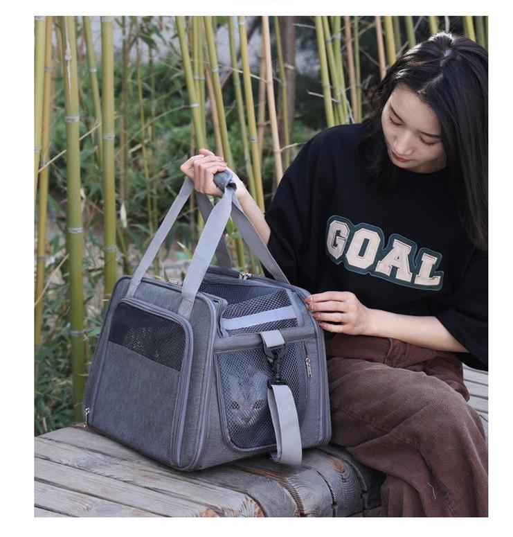 كيس الناقل القط