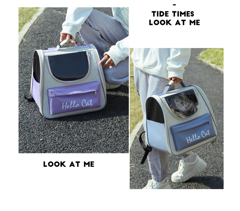 حقيبة ظهر الناقل القط